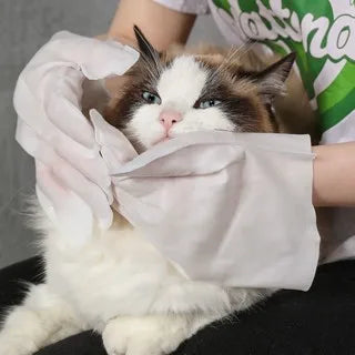 Luvas Descartáveis Para Higienização De Pets Limpeza Banho a Seco Gato