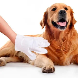 Luvas Descartáveis Para Higienização De Pets Limpeza Banho a Seco Gato