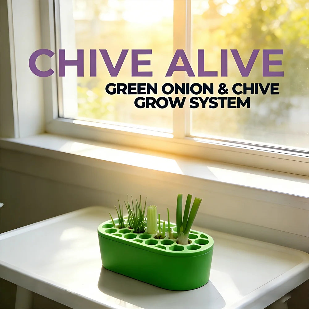 Green-onion-regrow-kit-easy-home-gardening-for-balcony-windowsill-fast…