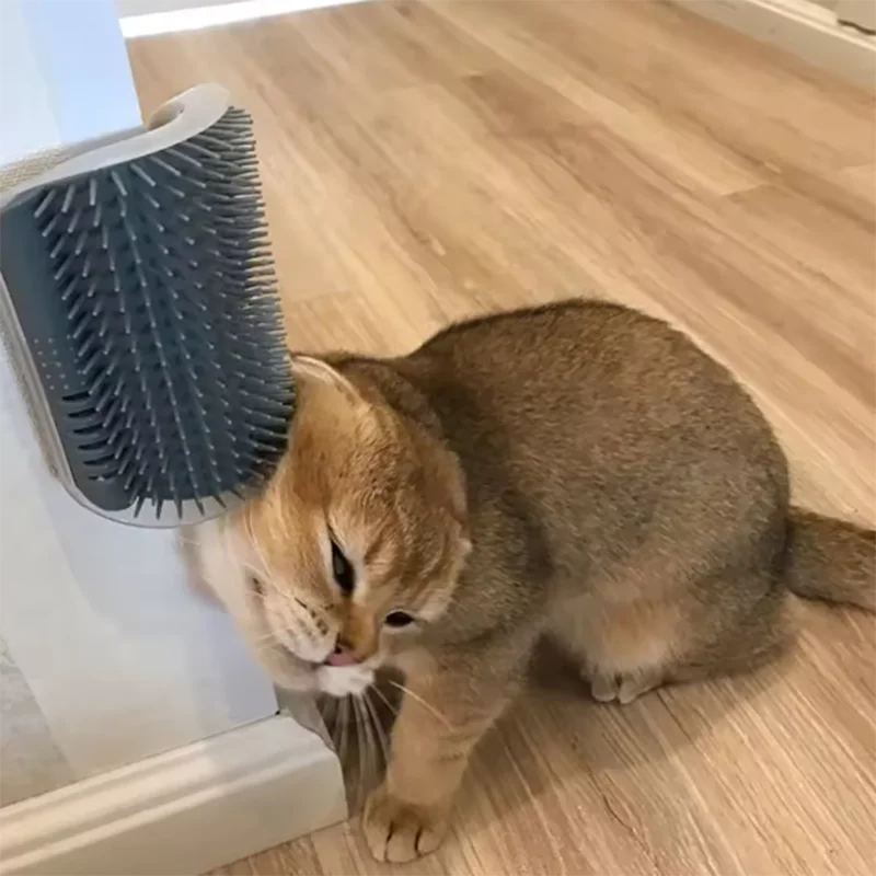 Masajeador de esquina para Gato rascador para rascar gatos cepillo