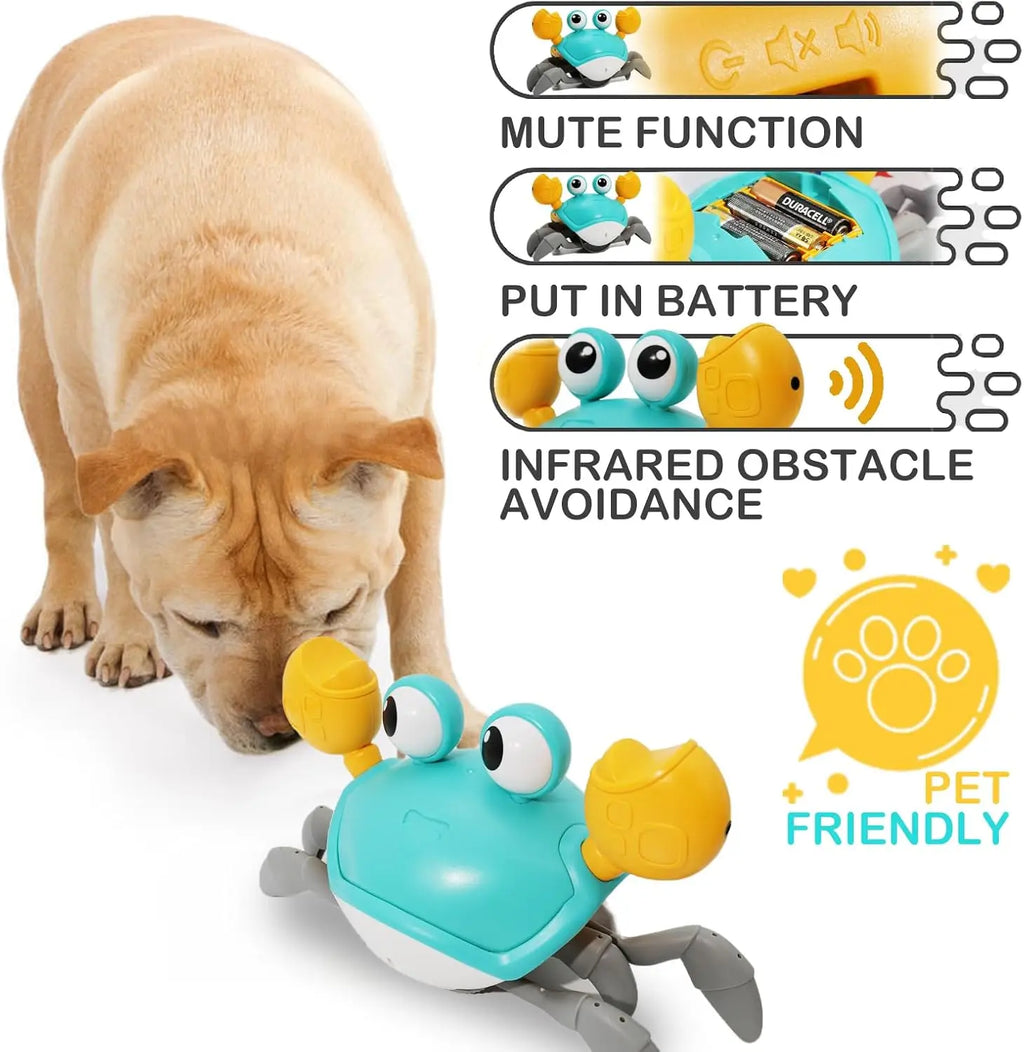 Caranguejo de brinquedo para bebês que engatinha, caranguejo interativo para bebês brincarem de bruços com música