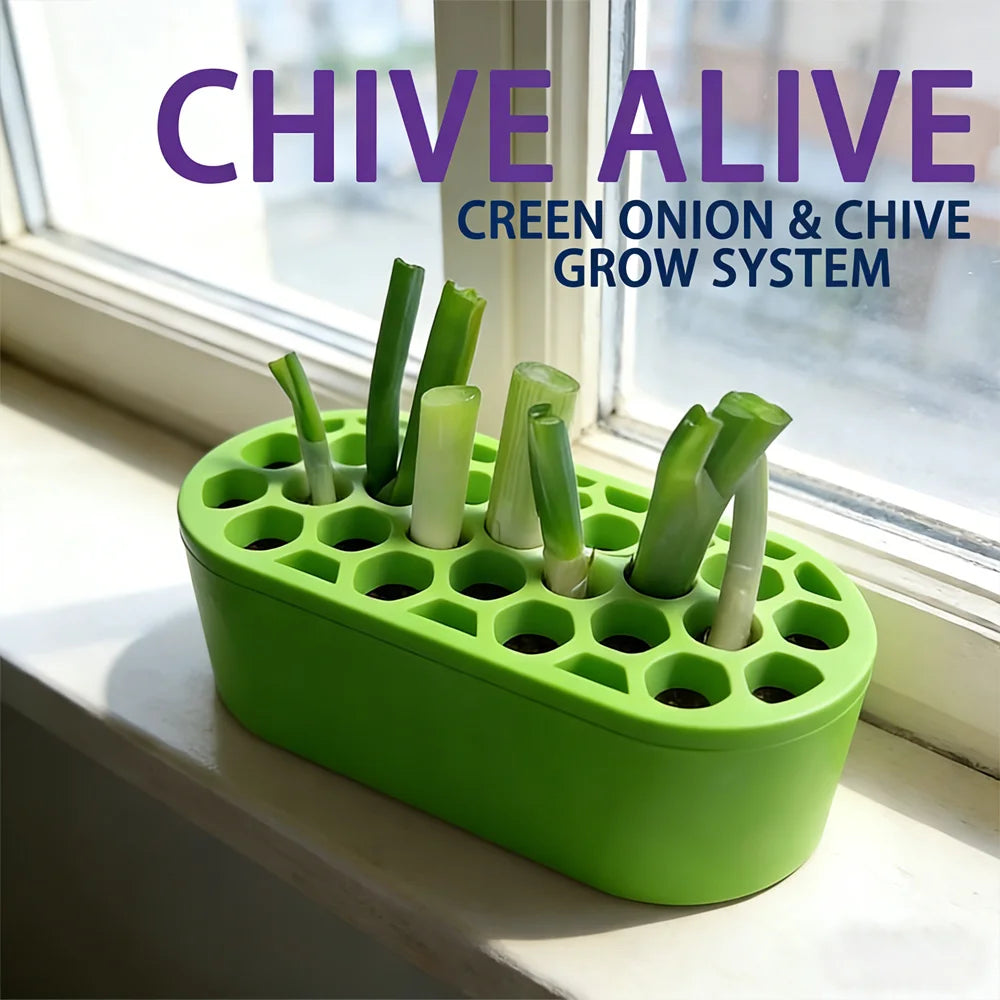 Green-onion-regrow-kit-easy-home-gardening-for-balcony-windowsill-fast…