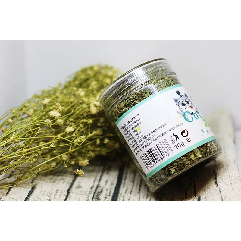 Erva-de-gato orgânica 100% natural de alta qualidade com sabor de menta.