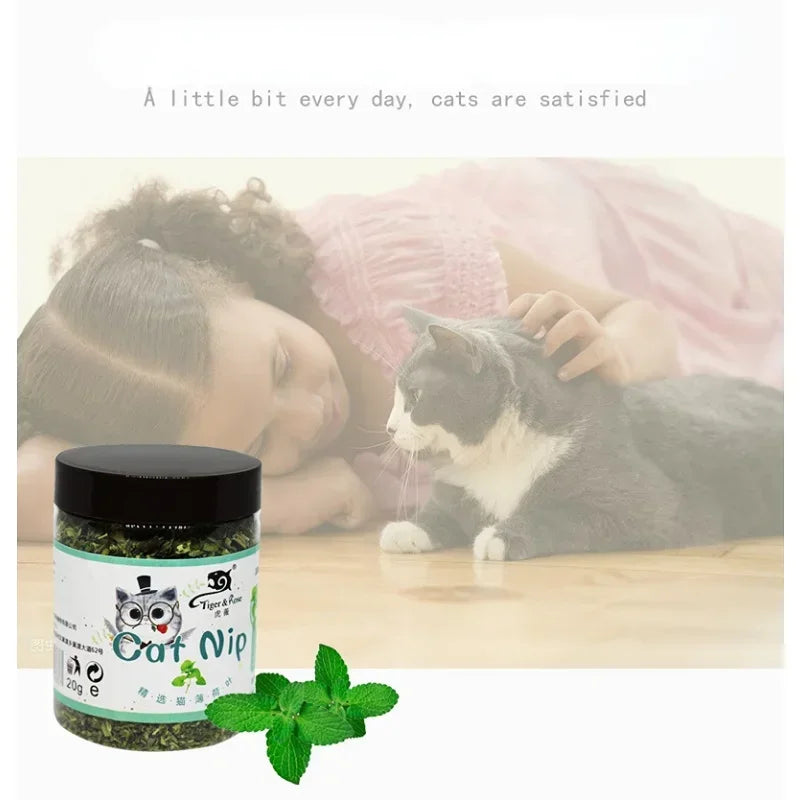 Erva-de-gato orgânica 100% natural de alta qualidade com sabor de menta.