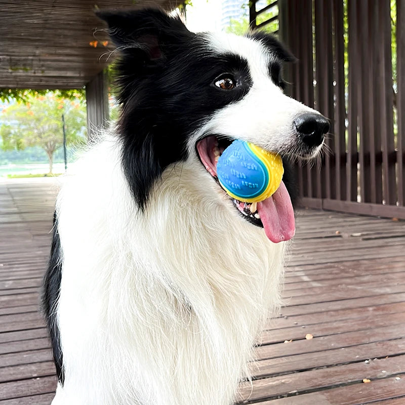 Brinquedos interativos para cães, brinquedos macios de TPR para limpeza dos dentes do seu cão.