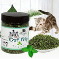 Erva-de-gato orgânica 100% natural de alta qualidade com sabor de menta.