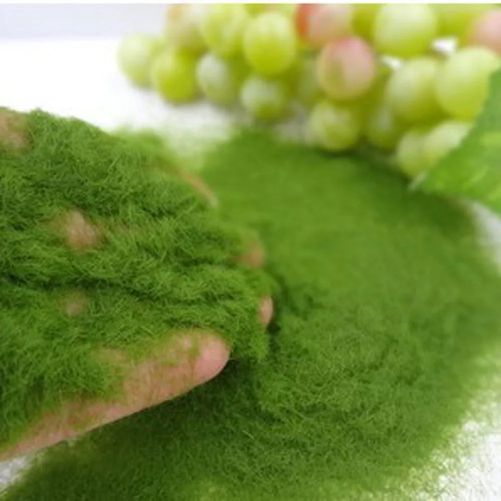 Garden-craft-building-model-material-artificial-moss-micro-landscape-d…