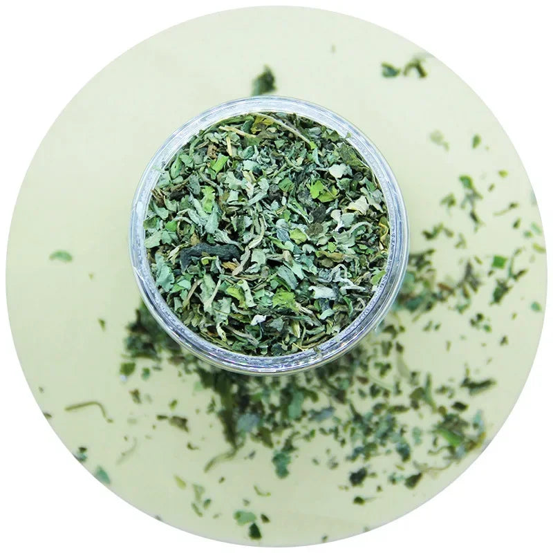 Erva-de-gato orgânica 100% natural de alta qualidade com sabor de menta.