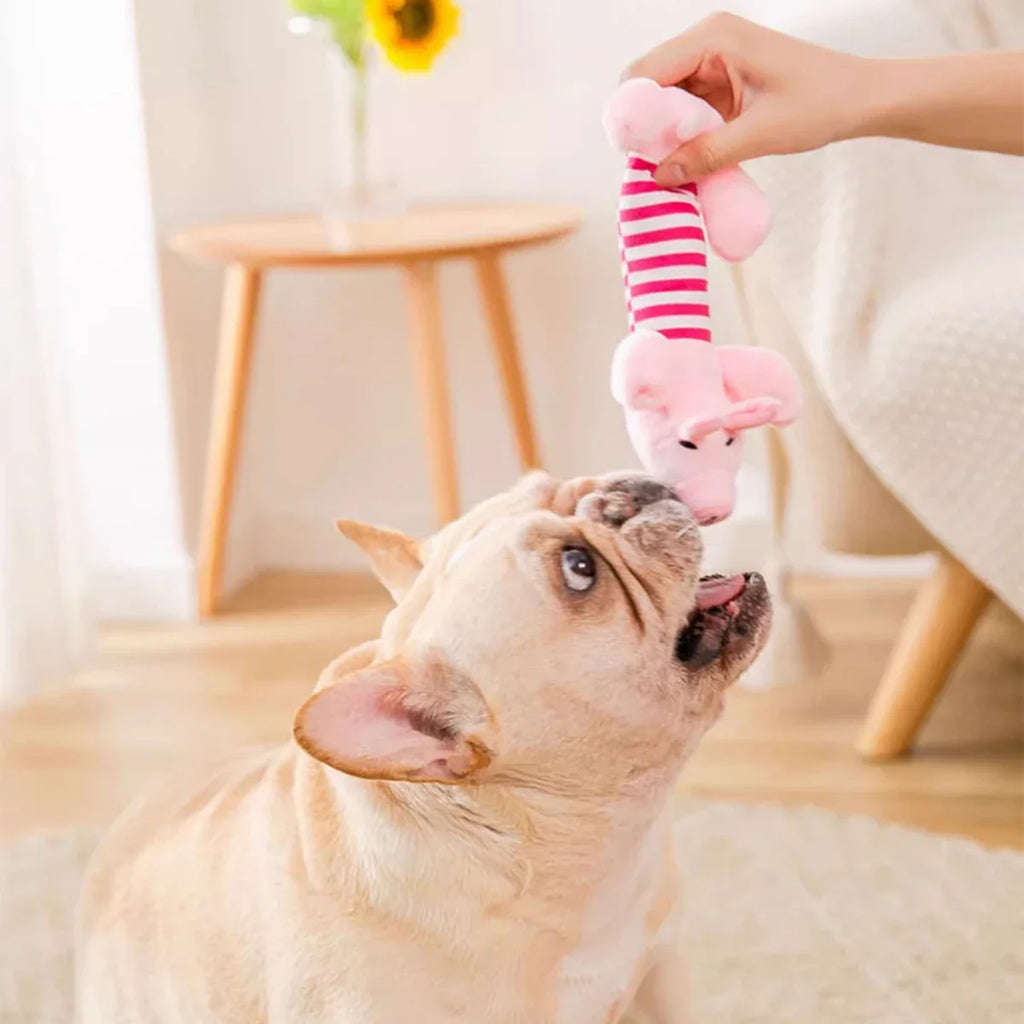 Cães e gatos de estimação, pelúcia bordada com desenhos animados, resistente a mordidas e antiestresse.