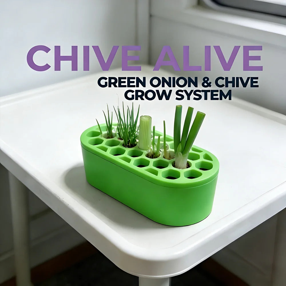 Green-onion-regrow-kit-easy-home-gardening-for-balcony-windowsill-fast…